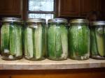 cucs in a pickle